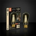 thumbnail image 2 of Xtricity - Ampoule LED à l'Ancienne, 5W, Type-S, 2200K Blanc Doux, 2 of 2
