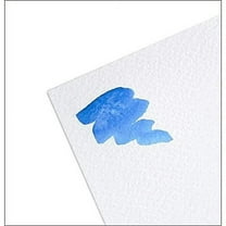 Fabriano Studio Watercolor Paper 140 lb. Cold Press 10-Sheet Pack 22x30"