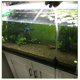 thumbnail image 2 of Herramienta de de Agua de Acuario de Tubo de Bomba de Sifón de Limpieza de Vacío de para Pecera Colco Bomba de limpiador de sifón de acuario, 2 of 8