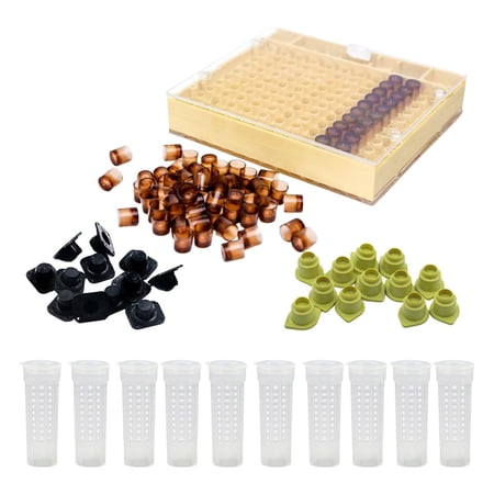 keeping Queen Rearing cup Apiculture System Rearing