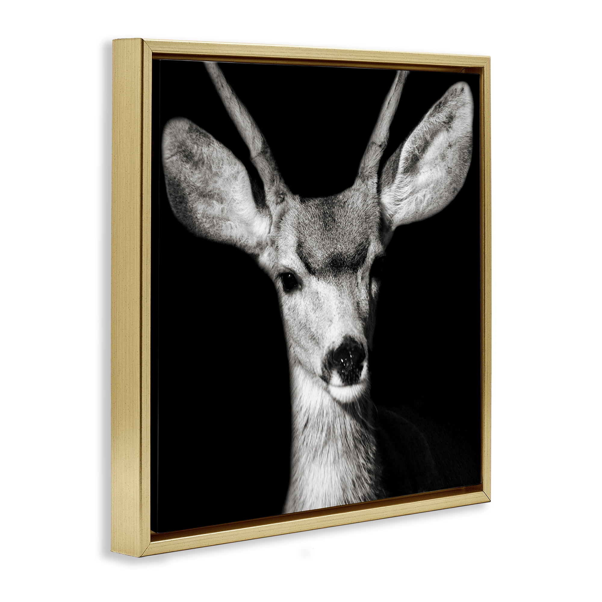 Stupell Industries Gazing Deer Portrait Animals & Insects Photography Gold Floater Framed Canvas Art Print Wall Art, 18 x 18
