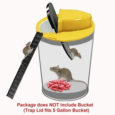 Runningfase Trap Flip & Slide Outdoor & Indoor Rat & Mouse Trap Cage 1.81 lbs