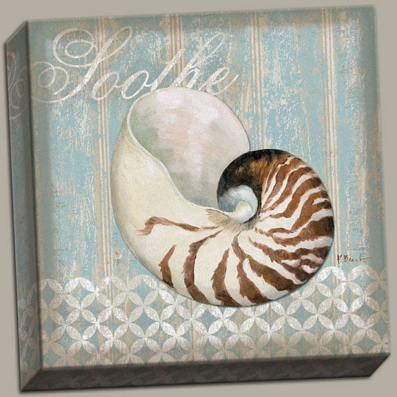 Canvas Spa Shells III Room Ad MotIVation Cheap Inspirational Inspiration Beach Retro Quality 12x12