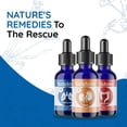 thumbnail image 2 of MediNatura BodyAnew Oral Drops 3 Step Homeopathic Cleanse - Whole Body Support for Women & Men - 150 ml Drops, 2 of 8