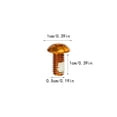 thumbnail image 4 of Eigraketly Paquete de 12 tornillos universales para freno de bicicleta T25 M5x10mm, tornillos para frenos de disco de acero aleado, accesorios de Ciclismo Naranja Eigraketly OD022339-04, 4 of 6