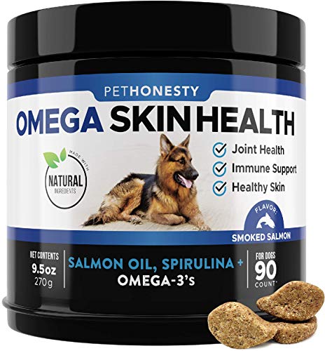 Omega-3 Power: The Best Dog Treats for a Healthy, Happy Pup