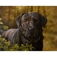 thumbnail image 3 of Silver, John 14x12 Black Modern Framed Museum Art Print Titled - 19, 3 of 5