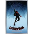 thumbnail image 1 of Marvel Spider-Man - Dans le Spider-Verse - Chute, 1 of 4