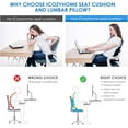thumbnail image 5 of Coccyx Seat Cushion Lumbar Support Pillow for Office Chair, Memory Foam Sciatica Pad Butt Pillow for Tailbone Pain, Large Size, 5 of 10