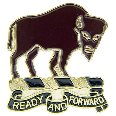 U.S. Army 10th Cavalry Regiment Pin 1