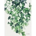 thumbnail image 3 of Brown, Denise 12x14 Black Modern Framed Museum Art Print Titled - Hanging Greens 1, 3 of 5