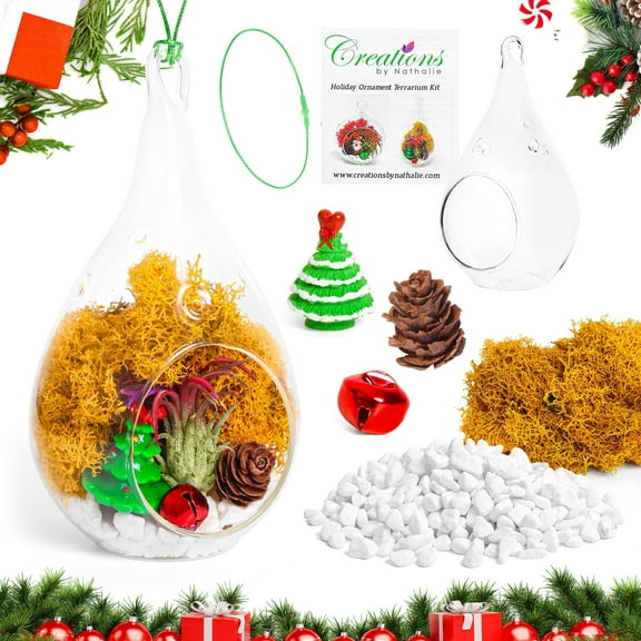 Creations by Nathalie - DIY Christmas Ornament Terrarium Kit with Live Air Plant (Local & Fresh from Florida), Glass Teardrop, Reindeer Moss, Christmas Figurines, and White Stones - Handmade in USA