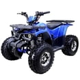 thumbnail image 1 of Tao Motor Raptor 125 VTT de Taille Moyenne Édition Limitée (Assemblage Requis), Bleu, 1 of 7