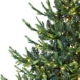 thumbnail image 6 of Northlight Real Touch™ Elite Pre-Lit Glenmora Pine IPT Artificial Christmas Tree - 6' Dual Color LED, 6 of 9