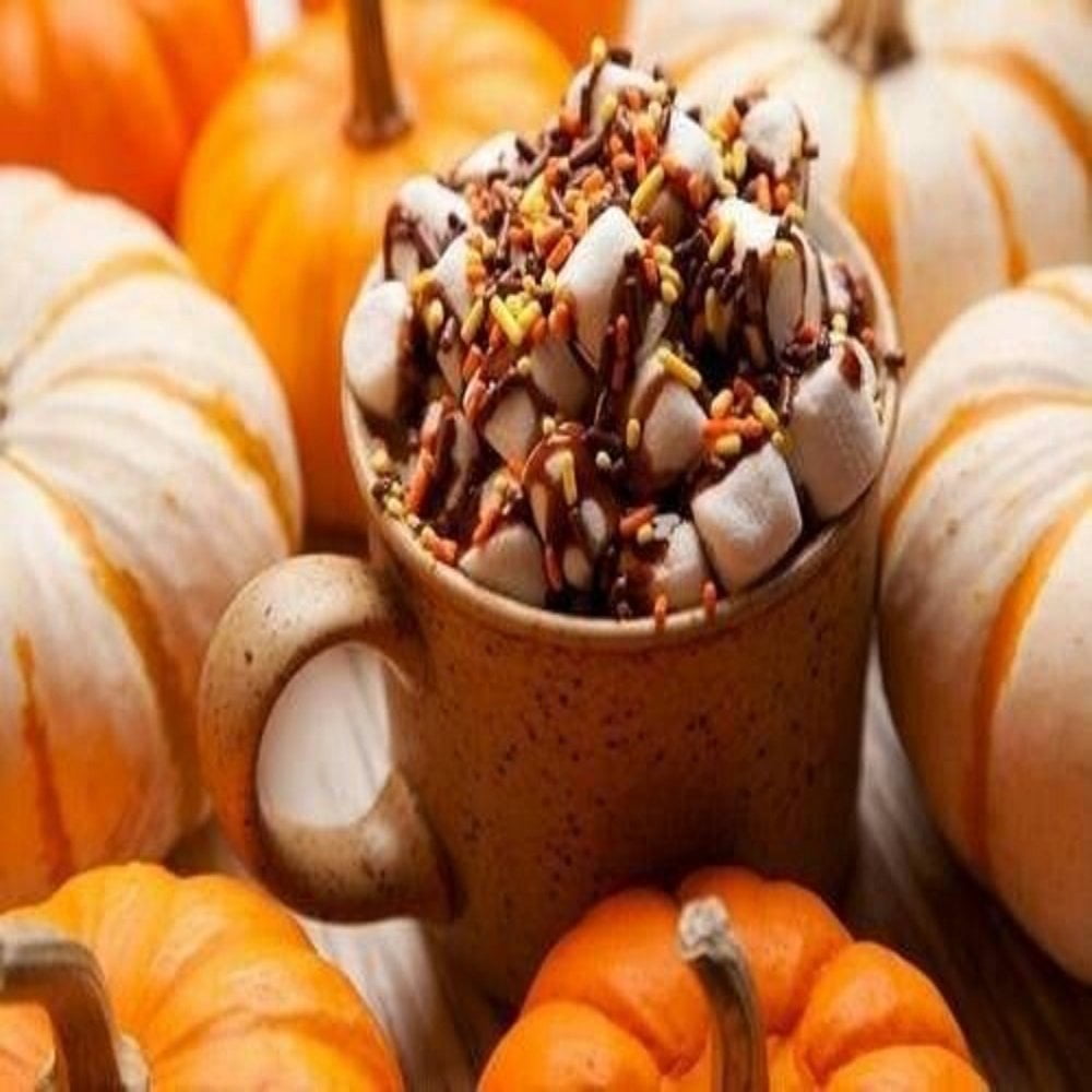 MARSHMALLOW PUMPKIN LATTE FRAGRANCE OIL 2 OZ FOR CANDLE & SOAP