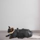 thumbnail image 2 of Malla gato aseo Bolsa de baño Bolsas de lavado PET Nail Triming Anti Scratch Supply Likrtyny Para estrenar, 2 of 9