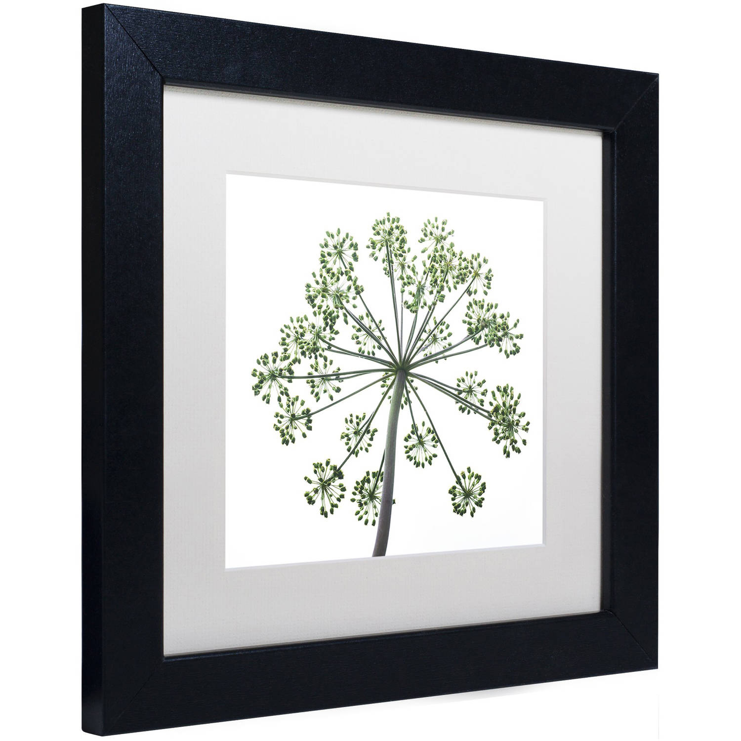 Trademark Fine Art "Nature's Amazing Wonder" Canvas Art by Kurt Shaffer, White Matte, Black Frame