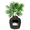 Black Suede, variant on Good Pet Stuff Hidden Cat Litter Box Enclosure with Artificial Plant, Odor Filter System, Reusable Tray, Original Round Planter, Essentials Kit, Pink