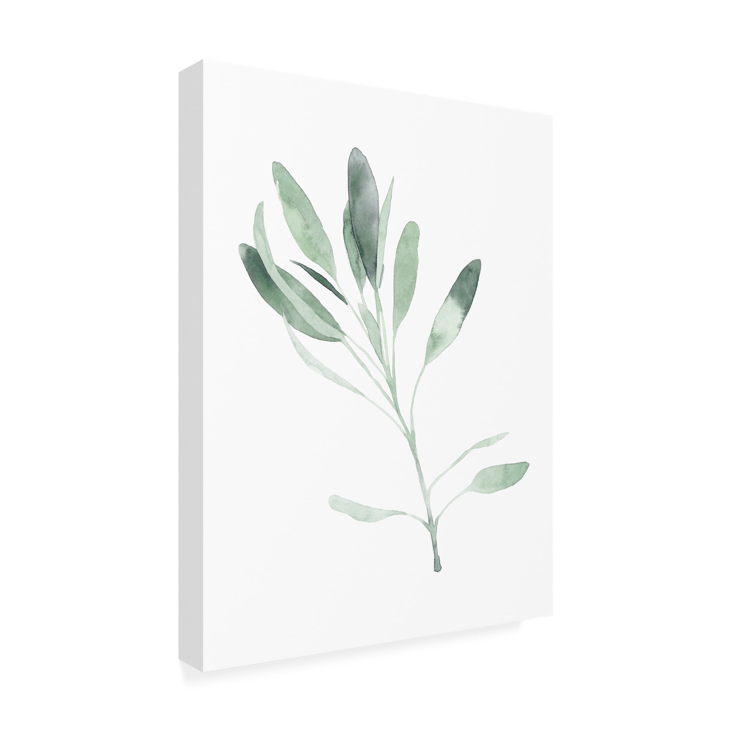 Emma Scarvey 'Simple Sage II' Canvas Art