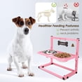 thumbnail image 5 of Cuencos Elevados SHAINFUN Acero Inoxidable para Perros Pequeños y Medianos con Soporte Ajustable, 5 of 5