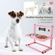thumbnail image 5 of Cuencos Elevados SHAINFUN Acero Inoxidable para Perros Pequeños y Medianos con Soporte Ajustable, 5 of 5