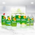 thumbnail image 5 of Green Works™ Toilet Bowl Cleaner, Natural Cleaner, 709mL, 5 of 5