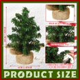 thumbnail image 3 of Molinillo de mesa con forma de miniárbol de Navidad artificial, pino de Navidad, 20 cm, 3 of 7