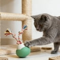 thumbnail image 5 of Automatic Moving Interactive Cat Toy with Rotating Rope - USB Rechargeable Motion Ball Toy, 3 Play Modes & Non- Base for Indoor Kittens, Adult Cats, Small & Large Dogs, 5 of 6