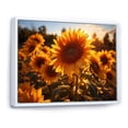 thumbnail image 2 of Designart "Sunlit Sunflowers Orange Radiance II" Floral Floater Framed Canvas Art Print, 2 of 7