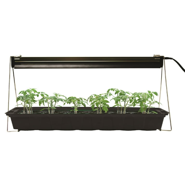 Ferry Morse Indoor Grow Light With T5