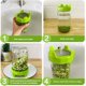 thumbnail image 5 of Bean Sprout Bliss, tapas de germinación para frascos Mason, kit de germinación con soporte, transmisión de luz para un mejor crecimiento, fácil de usar, brotes de verduras saludables en casa,, 5 of 7
