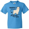 thumbnail image 3 of Inktastic Grandma's You Say Alpaca My Bags Youth T-Shirt, 3 of 5