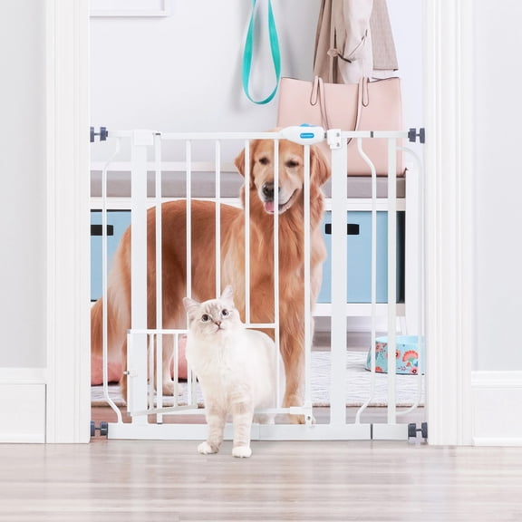 Carlson Pet Products Metal Dog Gate with Walk-Through and Additional Small Door, 31" Tall, White