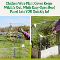 Chicken Wire Crop Coop