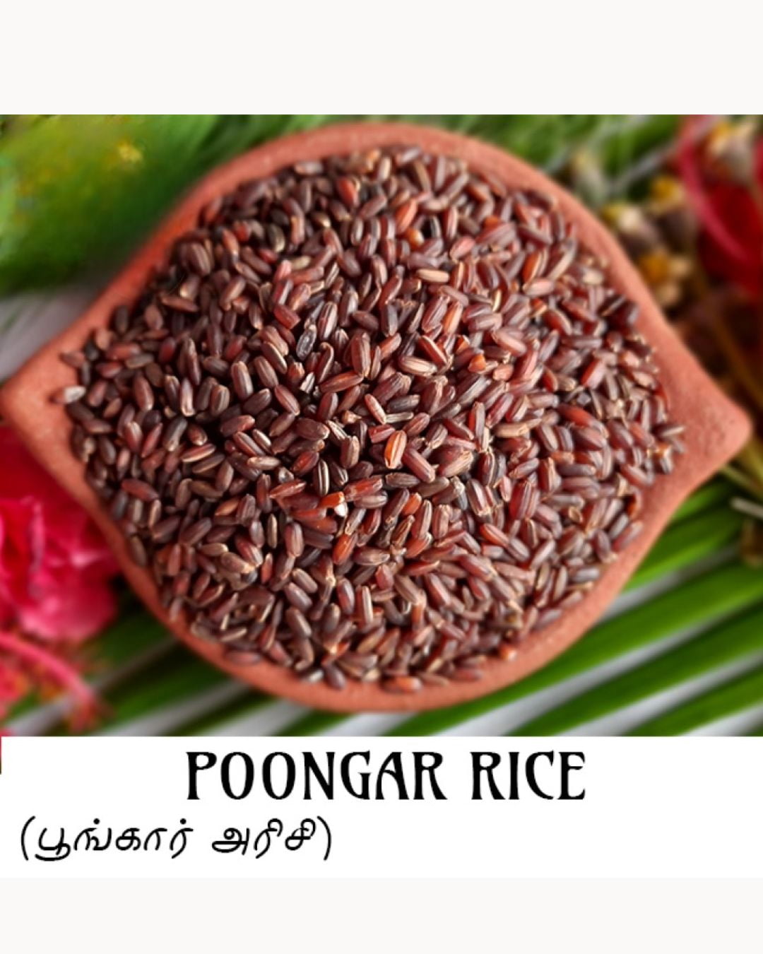 Shastha Traditional Heritage Poongar Red Rice Whole Grain, 10 lbs, pack of 1