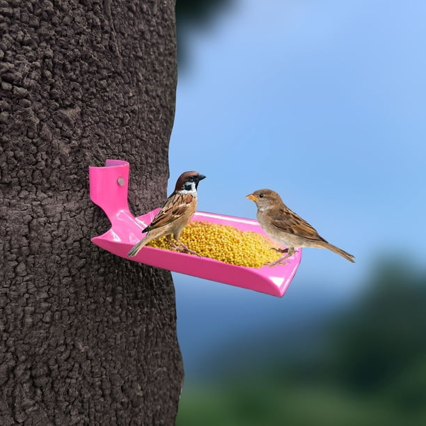 Plant Planter Bird Feeder Wall Mounted Iron Flower Basket Gardening Garden Decoration Bird Water Feeder Deals Of The Day Clearance