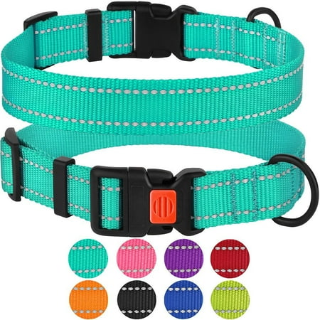 Reflective Dog Collar Safety Nylon Collars for Medium Dogs with Buckle, Mint (Best Dog Collar Light)