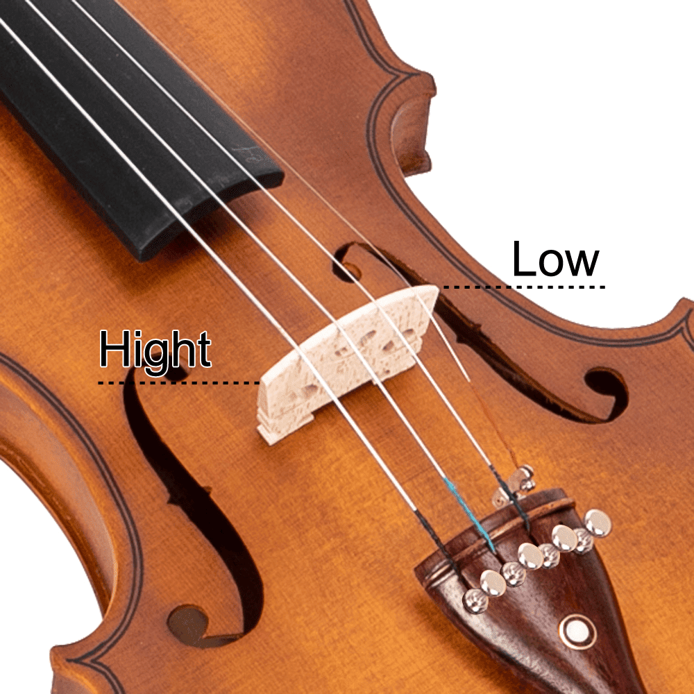 Tcbosik 4/4 Acoustic Violin with Turner for Beginners, Fiddle Beginner Kit with Bow, Case, Rosin, Strings, Shoulder Rest, Natural