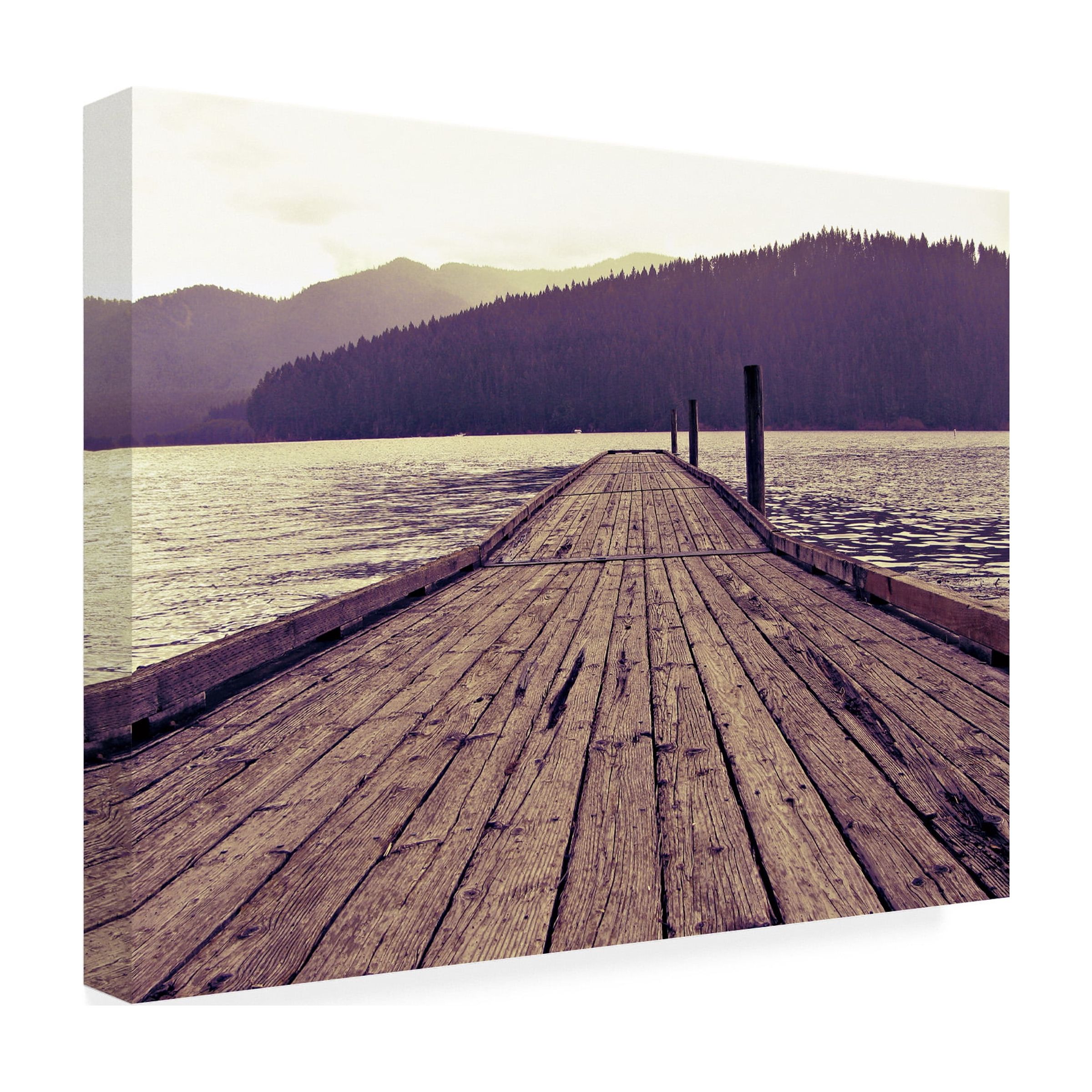 Leah Flores 'Chinook' Canvas Art
