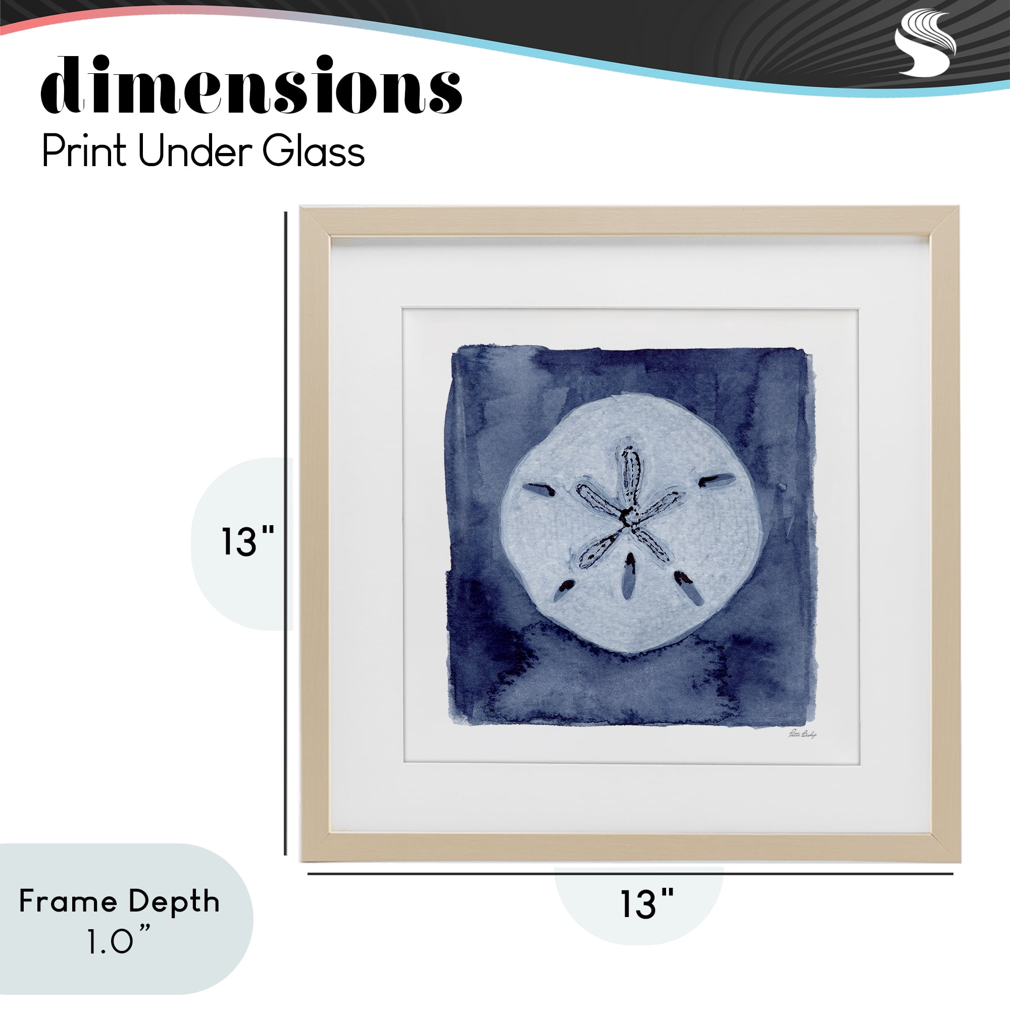 Stupell Industries White Sand Dollar on Indigo Birch Framed Print Under Glass, design by Patti Bishop