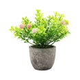 thumbnail image 1 of kurtrusly Realistic Artificial Succulent Low Maintenance Elegant Easy To Clean Artificial Money Tree In Pot pink babysbreath 1Set, 1 of 6
