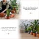 thumbnail image 5 of EeaseMX 5 platillos de cerámica para plantas, bandejas para macetas, platillos para macetas, platos para plantas de casa para recoger agua, 5 of 7