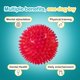 thumbnail image 4 of Paquete 8 Pelotas Para Perro de 3.5" - Chirriantes - Colores Variados dipperdap Chirriantes, 4 of 4