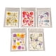 thumbnail image 2 of Flores secas prensadas, 5 bolsas de flores prensadas, flores secas prensadas, flores secas para resina, diseño revolucionario, 2 of 14