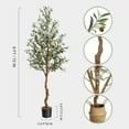thumbnail image 6 of 6FT Artificial Olive Tree | Lifelike Silk Decor with Handcrafted Basket for Home & Office, 6 of 6