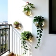 thumbnail image 5 of Wall Mounted Fish Aquarium,Hydroponic Planter for Wall Mounted Fish Tank,Living Room and Dining Room Decorative Aquarium Plant Holder, 5 of 6