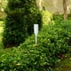 thumbnail image 3 of Luz de advertencia solar: Lámpara de estaca para caminos exteriores - Luz solar - Lámpara de inserción para césped, patio, jardín o terraza, 3 of 8