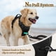 thumbnail image 5 of Arnés para perros Rabbitgoo sin tirones, ajustable, negro, XL, 5 of 8