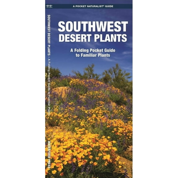 Pocket Naturalist Guides: Southwestern Desert Plants: An Introduction to Familiar Species (Paperback)