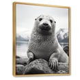 thumbnail image 2 of Designart "Arctic Seal Alaska " Animals Floater Framed Canvas Art Print, 2 of 7